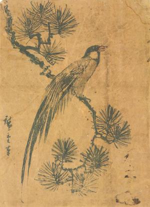 歌川広重: Long Tailed Bird on a Pine Branch - ウィスコンシン大学マディソン校