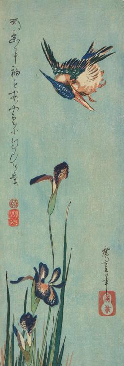 Utagawa Hiroshige: Kingfisher and Irises - University of Wisconsin-Madison