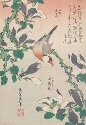 Katsushika Hokusai: Paddy Bird and Magnolia Blossoms, from a series of Bird and Flower Subjects - University of Wisconsin-Madison
