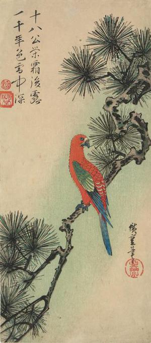 Utagawa Hiroshige: Red Parrot on a Pine Branch - University of Wisconsin-Madison