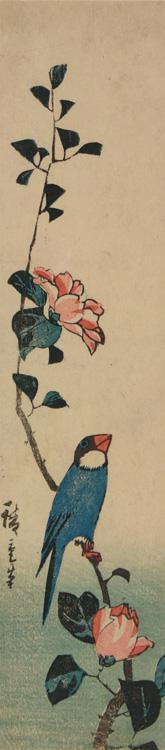 Utagawa Hiroshige: Paddy Bird and Rose - University of Wisconsin-Madison
