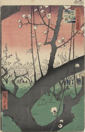 歌川広重: The Plum Orchard at Kameido, no. 30 from the series One-hundred Views of Famous Places in Edo - ウィスコンシン大学マディソン校
