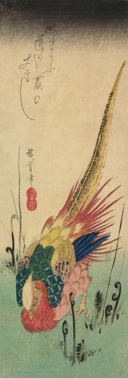 Utagawa Hiroshige: Golden Pheasant and Bracken Ferns - University of Wisconsin-Madison