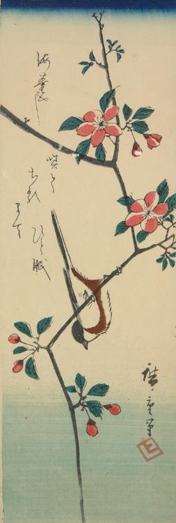 Utagawa Hiroshige: Great Titmouse on a Crab Apple Branch - University of Wisconsin-Madison