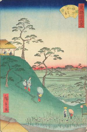 Utagawa Hiroshige II: Iris Fields at Horikiri, from the series Thirty-six Views of the Eastern Capital - University of Wisconsin-Madison