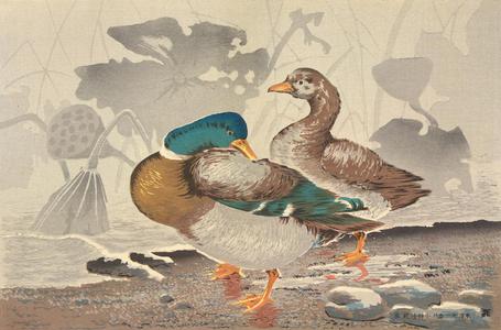 小林清親: Ducks by a Lotus Pond - ウィスコンシン大学マディソン校