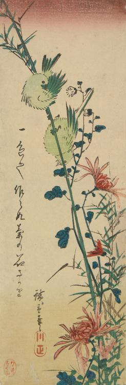 Utagawa Hiroshige: White-eyes and Wild Chrysanthemums (Zosterops Japonica) (Mejiro)) - University of Wisconsin-Madison