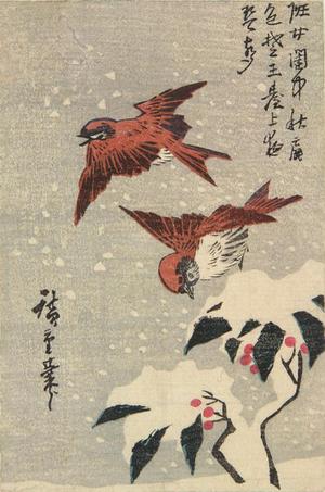 歌川広重: Sparrows and Nandina in Snow - ウィスコンシン大学マディソン校