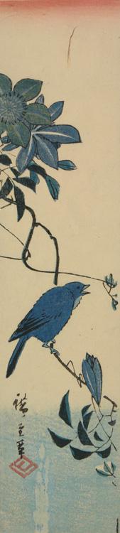 Utagawa Hiroshige: Small Blue Bird on Clematis - University of Wisconsin-Madison