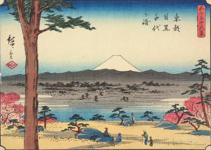 歌川広重: The Chiyo Promontory at Meguro in the Eastern Capital, no. 29 from the series Thirty-six Views of Mt. Fuji - ウィスコンシン大学マディソン校