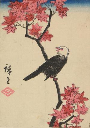 Utagawa Hiroshige: Bulbul on a Maple Branch - University of Wisconsin-Madison