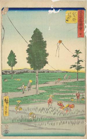 歌川広重: Totomi Kites, a Famous Product of Fukuroi, no. 28 from the series Pictures of the Famous Places on the Fifty-three Stations (Vertical Tokaido) - ウィスコンシン大学マディソン校