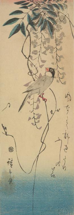Utagawa Hiroshige: Java Sparrow and Wisteria - University of Wisconsin-Madison