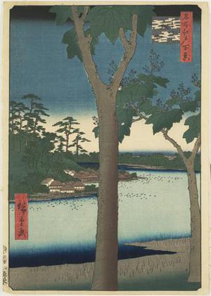 Utagawa Hiroshige, 歌川広重 (Utagawa Hiroshige)による浮世絵「The Paulownia Plantation at Akasaka, no. 48 from the series One-hundred Views of Famous Places in Edo」