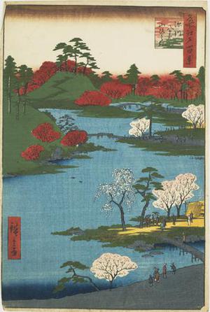 Utagawa Hiroshige: Cherry Blossoms at the Hachiman Shrine in Fukagawa, no. 59 from the series One-hundred Views of Famous Places in Edo - University of Wisconsin-Madison