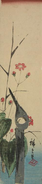 Utagawa Hiroshige: Wagtail and Water Plants - University of Wisconsin-Madison