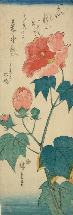 Utagawa Hiroshige: Hibiscus, from a series of Flower Subjects - University of Wisconsin-Madison