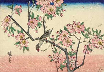 Utagawa Hiroshige: Great Titmouse in a Cherry Tree - University of Wisconsin-Madison