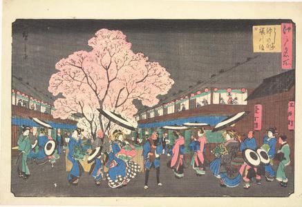 歌川広重: The Cherry Festival at Nakanocho in the Yoshiwara, from the series Famous Places in Edo - ウィスコンシン大学マディソン校