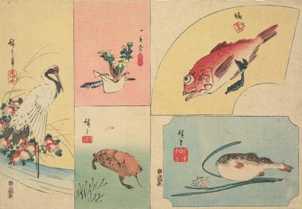 歌川広重: Crane, Adonis Flower, Red Fish, Turtle, and Blowfish, from a series of Harimaze of Bird and Flower Subjects - ウィスコンシン大学マディソン校