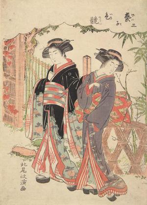 Kitao Masanobu: Two Geisha Strolling in a Garden, no. 3 from the series A Competition Among Geisha - ウィスコンシン大学マディソン校