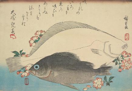 歌川広重: Flounder, Mebaru and Cherry Blossoms, from a series of Fish Subjects - ウィスコンシン大学マディソン校