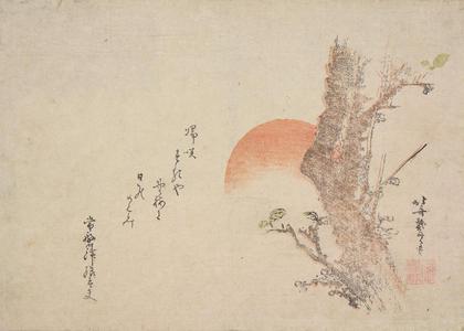 Katsushika Hokusai: Plum Tree and Rising Sun - University of Wisconsin-Madison