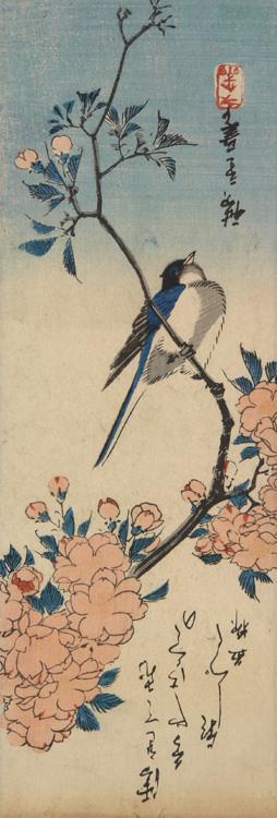 Utagawa Hiroshige: Bird on a Flowering Branch - University of Wisconsin-Madison