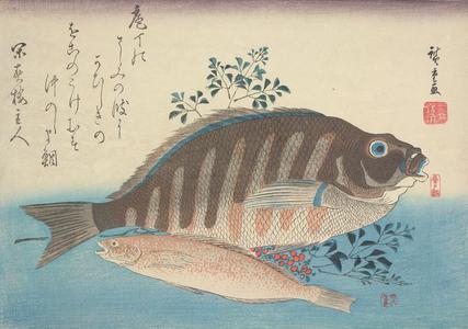 Utagawa Hiroshige: Shimadai, Ainame, and Nandina, from a series of Fish Subjects - University of Wisconsin-Madison
