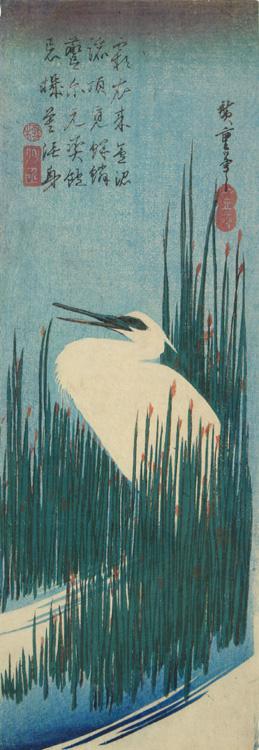 Utagawa Hiroshige: Egret in Reeds - University of Wisconsin-Madison
