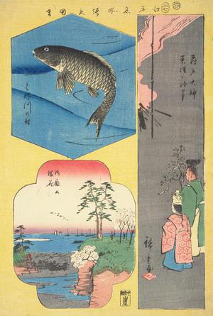 Utagawa Hiroshige: Carp in the Tone River, Cherry Trees in Full Bloom on Goten Hill, and Creation of the First Medicine Sold at Kameido Tenjin Shrine, from the series Harimaze of Pictures of Famous Places in Edo - University of Wisconsin-Madison