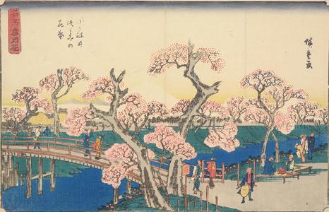 歌川広重: Cherry Trees in Full Bloom on the Koganei Embankment, from the series Famous Places in Snow, Moon, and Flowers - ウィスコンシン大学マディソン校