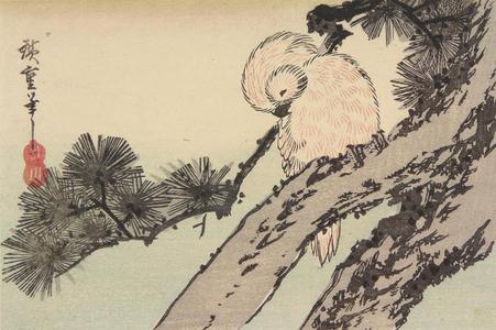 Utagawa Hiroshige: Owl on a Pine Branch - University of Wisconsin-Madison