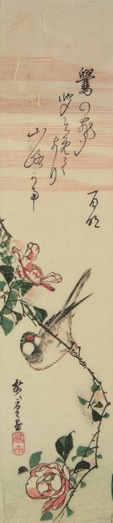 Utagawa Hiroshige: Java Sparrow on Rose Branch - University of Wisconsin-Madison