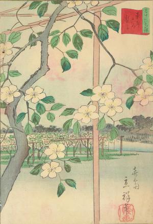 Utagawa Hiroshige II: Pear Trees as Rokugo, no. 8 from the series Thirty-six Flowers at Famous Places in Tokyo - University of Wisconsin-Madison