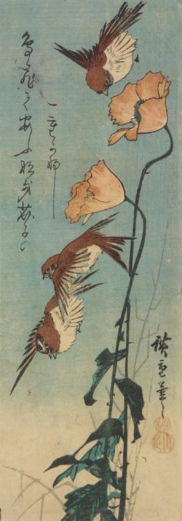 Utagawa Hiroshige: Sparrows and Poppies - University of Wisconsin-Madison