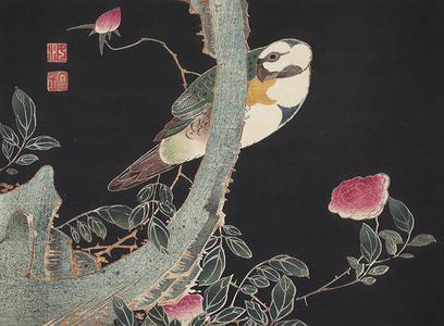 伊藤若冲: Large Bird and Roses, no. 3 from the series Six Genuine Pictures by Ito Jakuchu - ウィスコンシン大学マディソン校