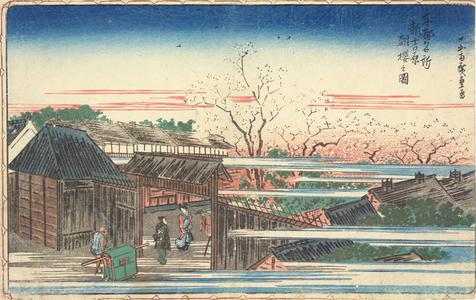 Utagawa Hiroshige: Cherry Trees at Dawn at the New Yoshiwara, from the series Famous Places in the Eastern Capital - University of Wisconsin-Madison