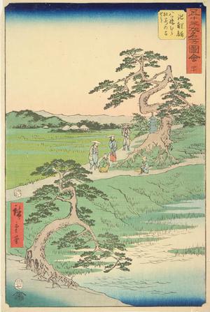 Utagawa Hiroshige: The Ancient Site of the Iris Field at Yatsuhashi Village near Chiryu, no. 40 from the series Pictures of the Famous Places on the Fifty-three Stations (Vertical Tokaido) - University of Wisconsin-Madison