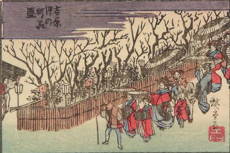 Utagawa Hiroshige: Cherry Blossoms at Nakanocho in Yoshiwara in Edo, from a series of Views of Edo, Osaka, and Kyoto - University of Wisconsin-Madison