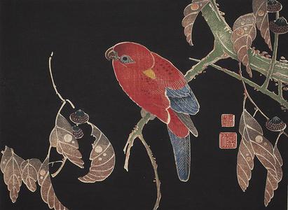 伊藤若冲: Red Parrot on Oak Branch, no. 5 from the series Six Genuine Pictures by Ito Jakuchu - ウィスコンシン大学マディソン校