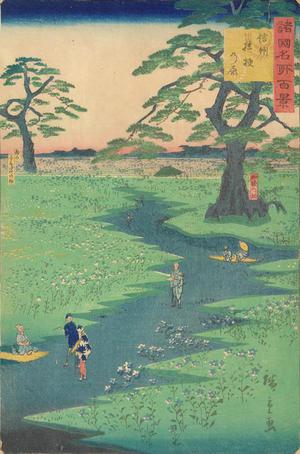 Utagawa Hiroshige II: Kikyo Plain in Shinano Province, from the series One-hundred Views of Famous Places in the Provinces - University of Wisconsin-Madison