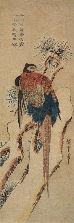 Utagawa Hiroshige: Common Pheasant on Snowy Pine Branch - University of Wisconsin-Madison