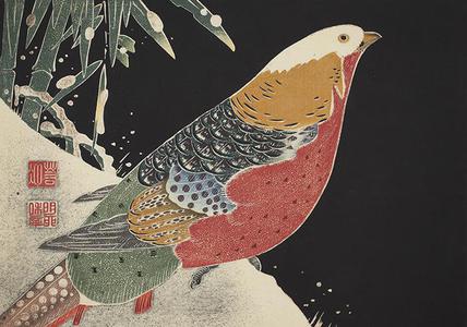 伊藤若冲: Copper Pheasant, no. 1 from the series Six Genuine Pictures by Ito Jakuchu - ウィスコンシン大学マディソン校