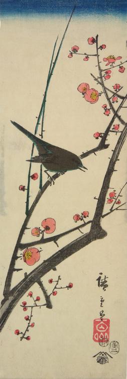 Utagawa Hiroshige: Bush Warbler on a Plum Branch, from a series of Bird and Flower Subjects - University of Wisconsin-Madison