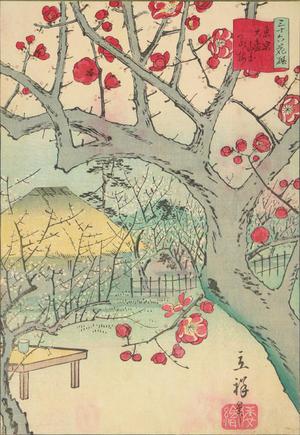 二歌川広重: Red plum blossoms at Yamamoto Omori, no.2 from the series Thirty-six Flowers at Famous Places in Tokyo - ウィスコンシン大学マディソン校