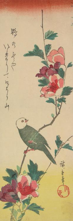 Utagawa Hiroshige: Bulbul on Hibiscus - University of Wisconsin-Madison