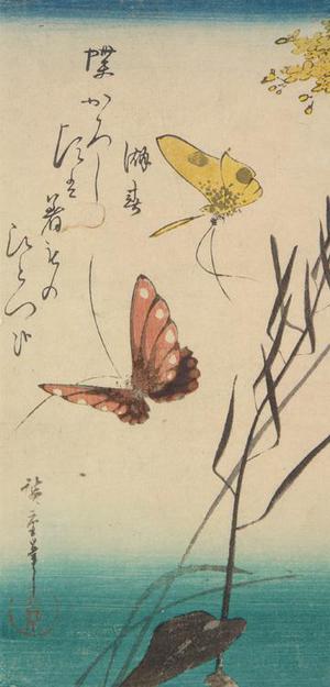 Japanese Print "Butterflies and Ominaeshi Flowers" by Utagawa Hiroshige, 歌川広重 (Utagawa Hiroshige)