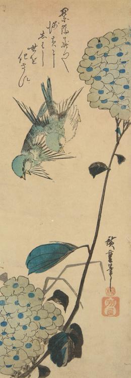 Utagawa Hiroshige: Sparrows and Hydrangeas - University of Wisconsin-Madison