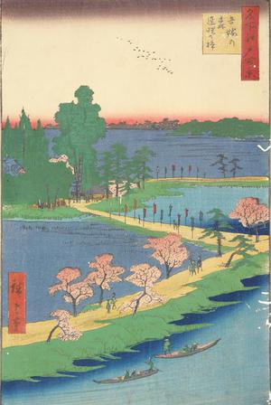 Utagawa Hiroshige: The Entwined Camphor Trees at Azuma Shrine, no. 31 from the series One-hundred Views of Famous Places in Edo - University of Wisconsin-Madison